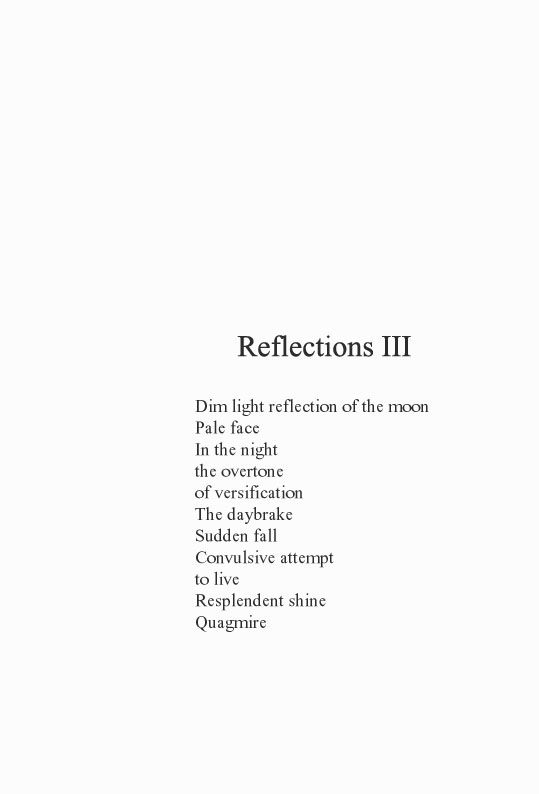 in the insertion of a parenthesis, poems collection